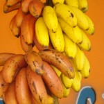 Banana roxa e amarela